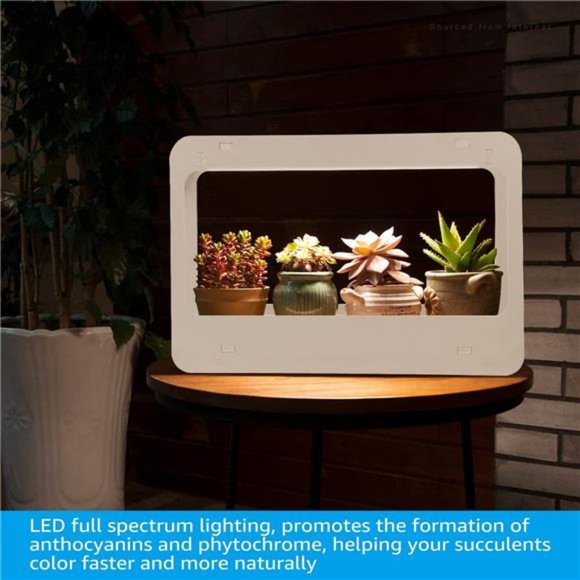 LED Indoor Herb Garden, CRI 95+, Herb Grower Light with Timer, Indoor Gardening - Picture 4 of 5